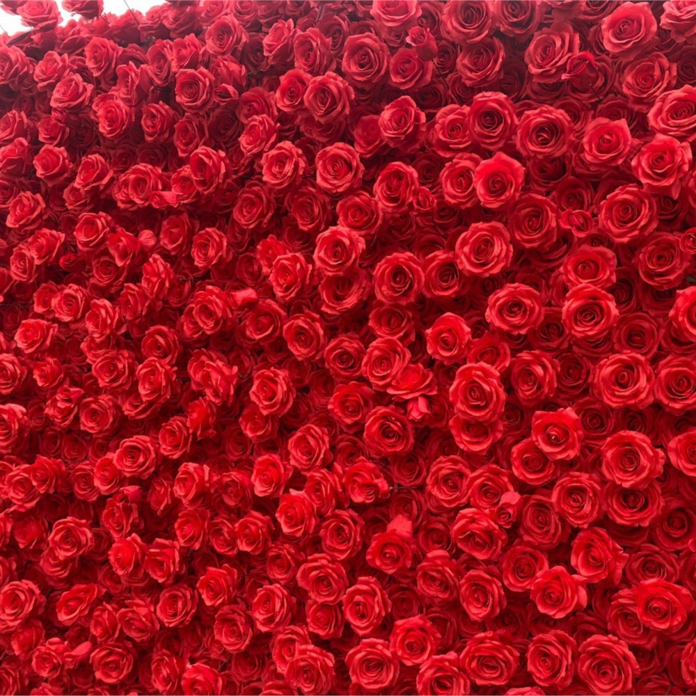Uflower Red Rose 5D Cloth Flow - مراجعة Wedding Backdrop Curtain وسعره