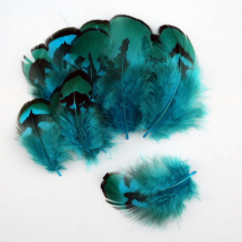 Natural DIY Pheasant Feathers  - مراجعة Wedding Supply Bulk وسعره