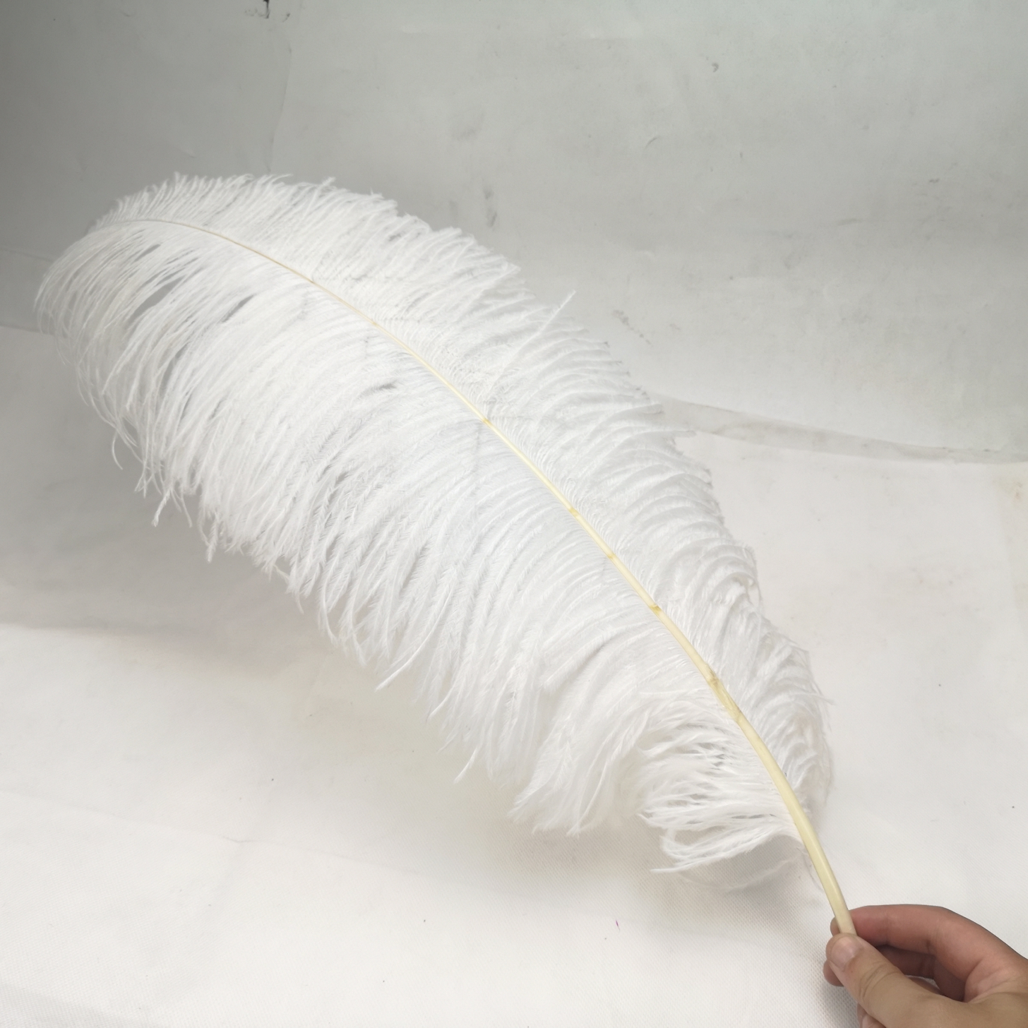 2/5/10pcs Natural Ostrich Feat - مراجعة Wedding Supply Bulk وسعره