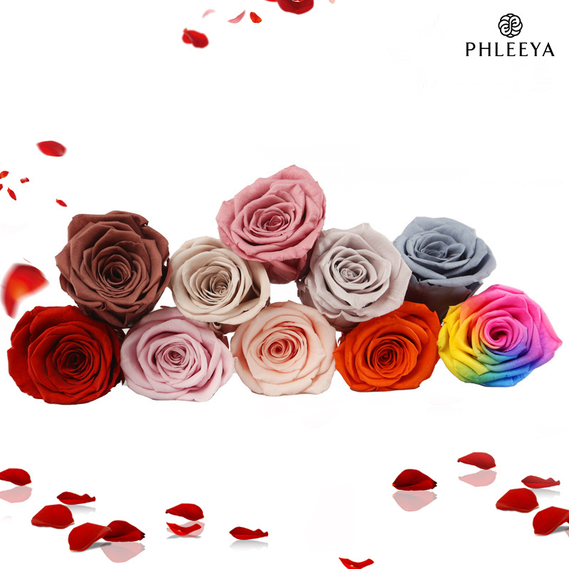6pcs Eternal Rose Flower Heads - مراجعة Wedding Supply Bulk وسعره
