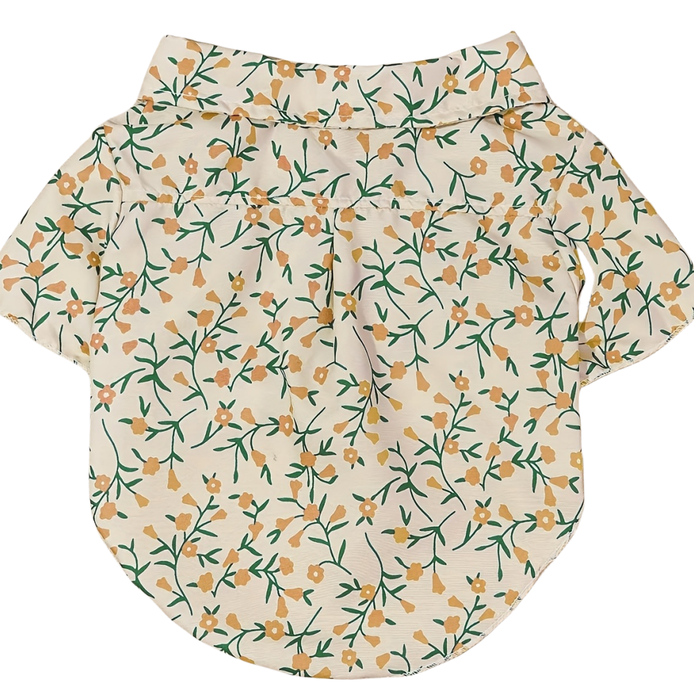 Pet clothes dog dog cat shirt  - مراجعة Good Floral & Wedding Decor Supply وسعره