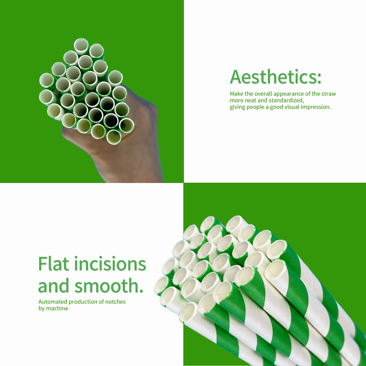 100 Pcs Biodegradable Green an - مراجعة Wedding Supply Bulk وسعره